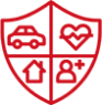 Insurance needs icon
